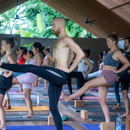Ubuntu Bali Eco Yoga Retreat - Canggu Εξωτερικό φωτογραφία