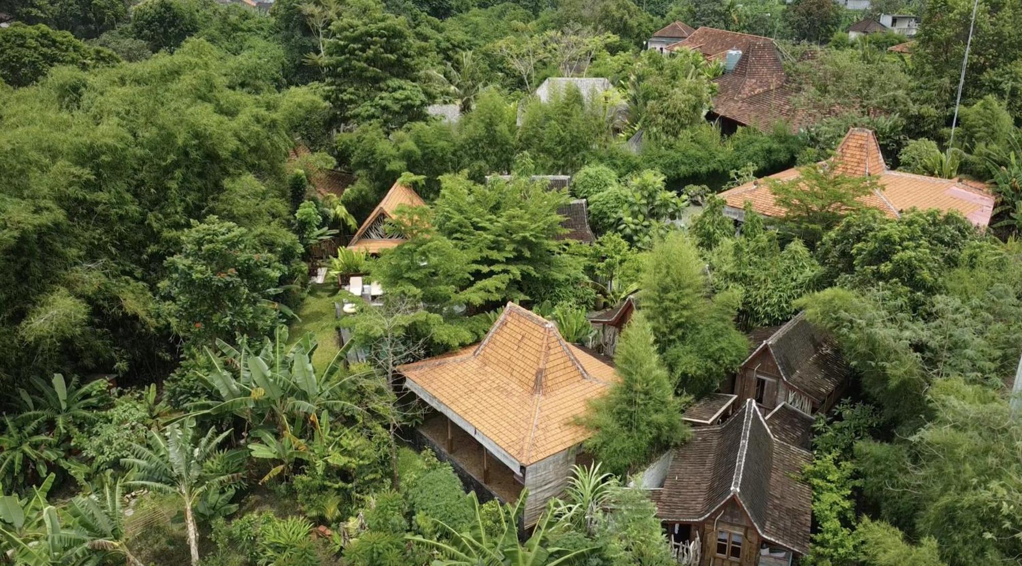 Ubuntu Bali Eco Yoga Retreat - Canggu Εξωτερικό φωτογραφία