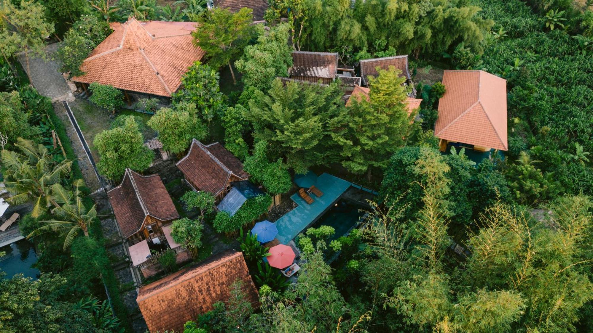 Ubuntu Bali Eco Yoga Retreat - Canggu Εξωτερικό φωτογραφία